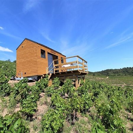 Tiny House Au Coeur Du Vignoble Beaujolais Ξενοδοχείο Fleurie Εξωτερικό φωτογραφία
