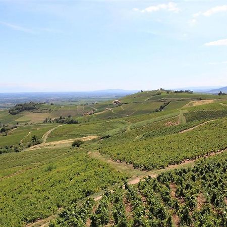 Tiny House Au Coeur Du Vignoble Beaujolais Ξενοδοχείο Fleurie Εξωτερικό φωτογραφία
