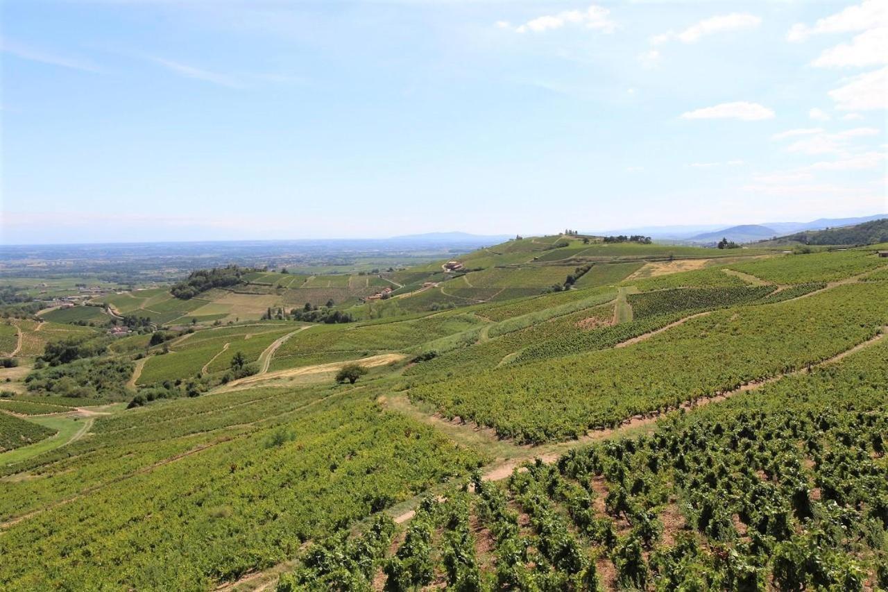 Tiny House Au Coeur Du Vignoble Beaujolais Ξενοδοχείο Fleurie Εξωτερικό φωτογραφία